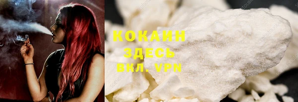 шишки Алзамай