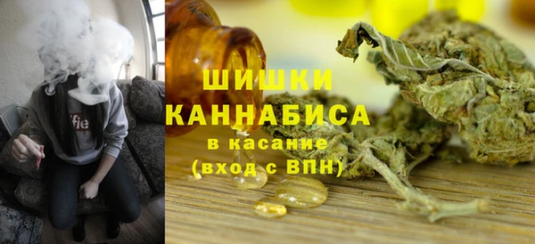 шишки Алзамай