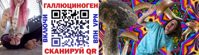 купить наркоту MEGA зеркало Псилоцибиновые грибы прущие грибы Пыталово